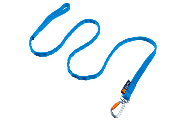 bungee leash blue 1