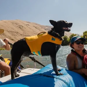 45103 807 5 Ruffwear Float Coat.jpg