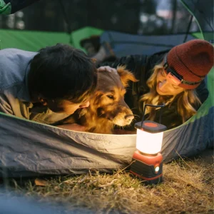 Camp Lantern Recharge family in tent with dog