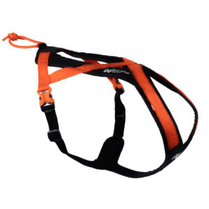 RushHarness BlackOrange 4511 4518 01 HERO